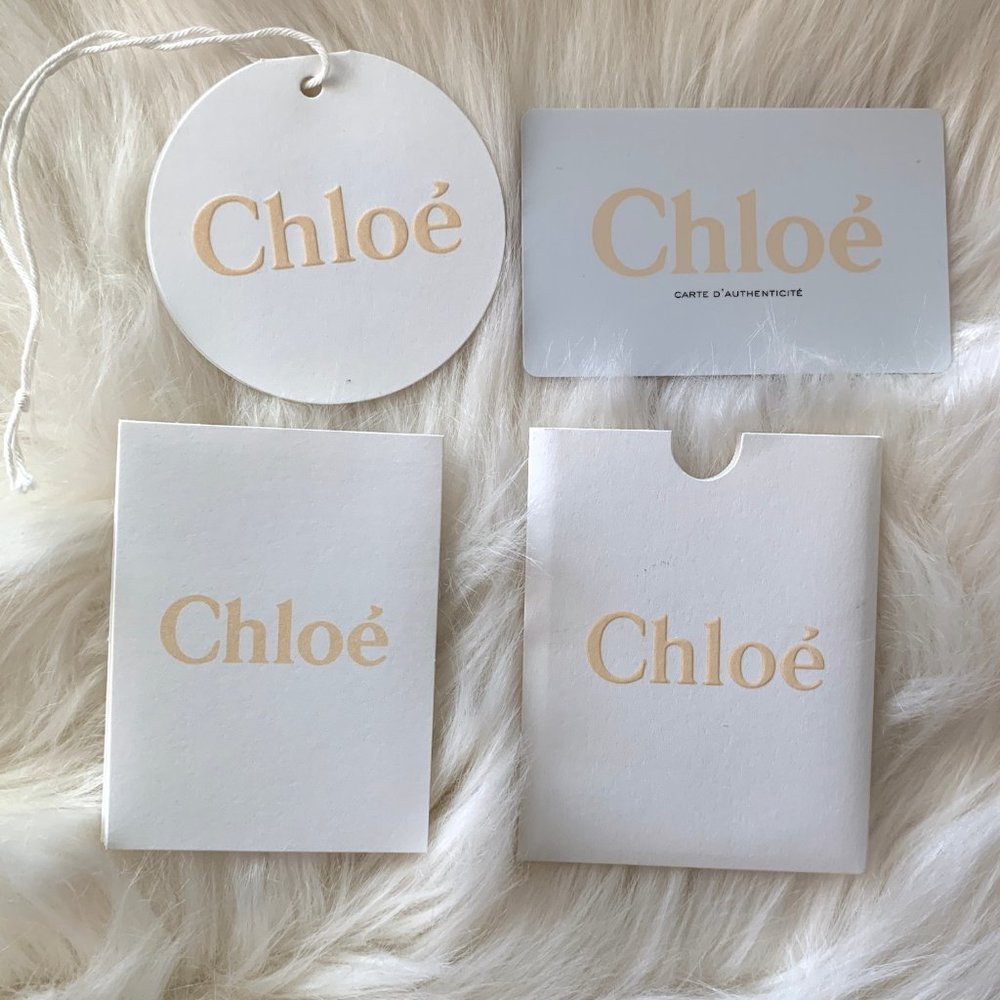 Chloe Drew Zippy Wallet Zip Wallet Clutch Excellent Condition Made In It… - Picture 10 of 10